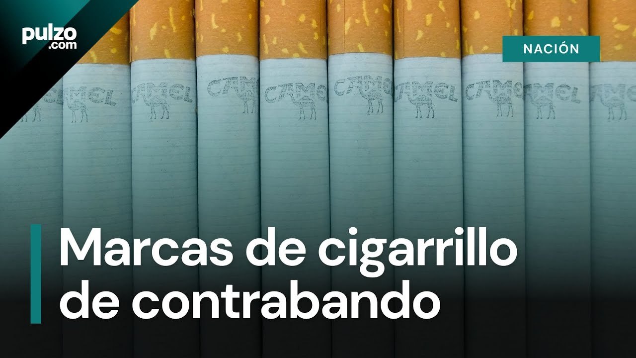 Invamer alertó sobre el contrabando de cigarrillos y gobernadores hablan de sus acciones | Pulzo