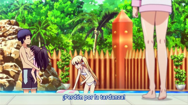 Papa no Iu Koto wo Kikinasai! 13