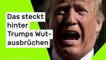 Donald Trump: Psychologe enthüllt 