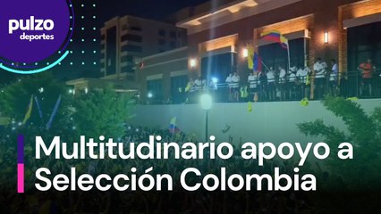 Hinchas hicieron 'banderazo' de apoyo a la Selección Colombia | Pulzo