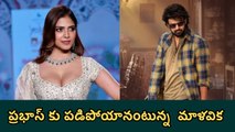 ప్రభాస్ అంటే పిచ్చి! | Malavika Mohanan Sensational Comments | Filmibeat Telugu