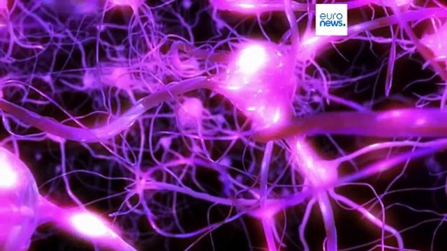 علم چه می‌گوید؛ آیا ما فقط از ۱۰ درصد توان مغز خود استفاده می‌کنیم؟