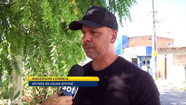 Investigação de Casos Recorrentes de Envenenamento de Cães: Desafiando a Polícia Civil a Combater os Maus-Tratos de Animais