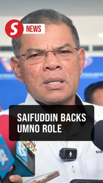 Umno's role crucial in unity government, says Saifuddin