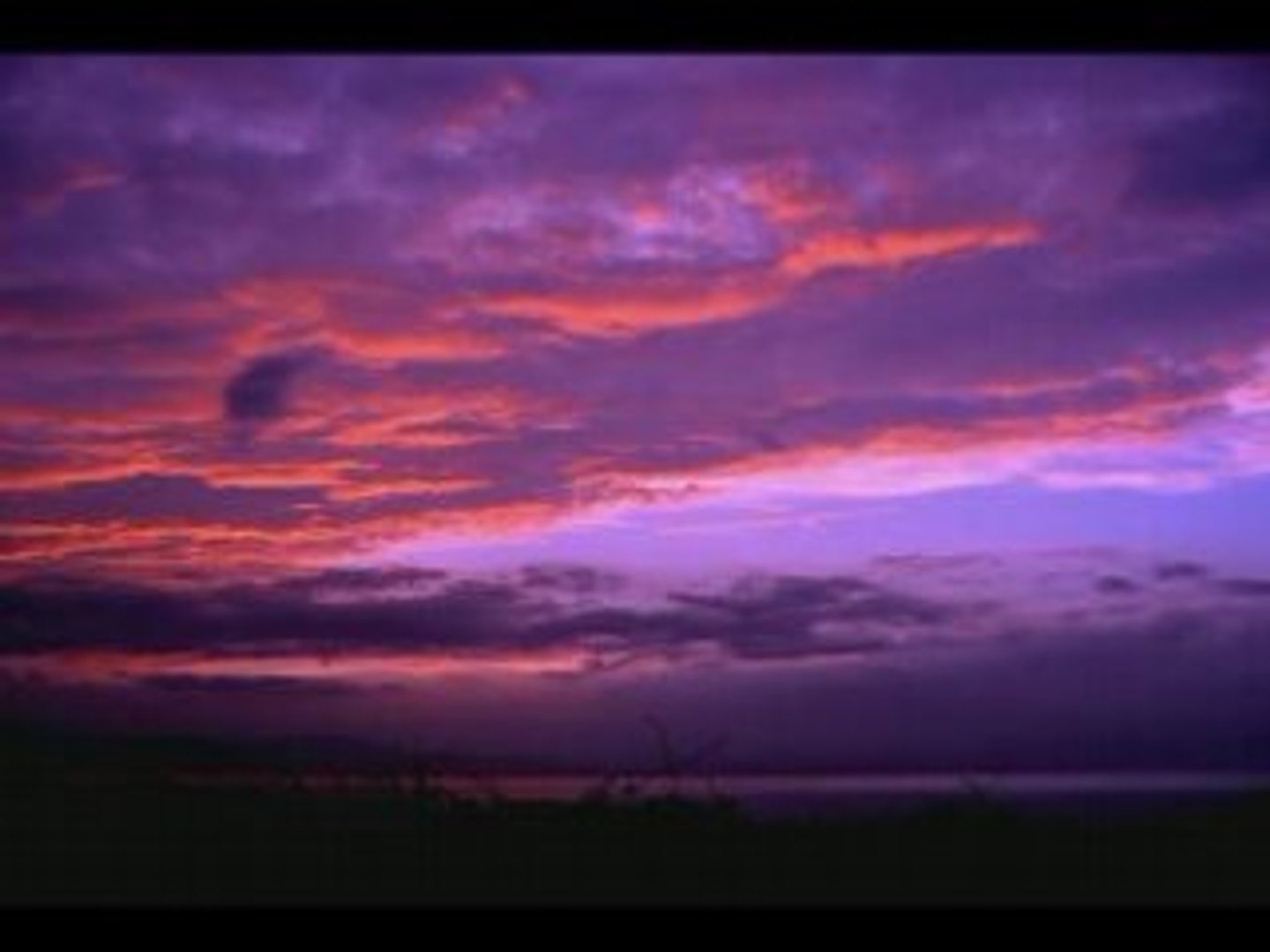 Ross - Magical Dream   