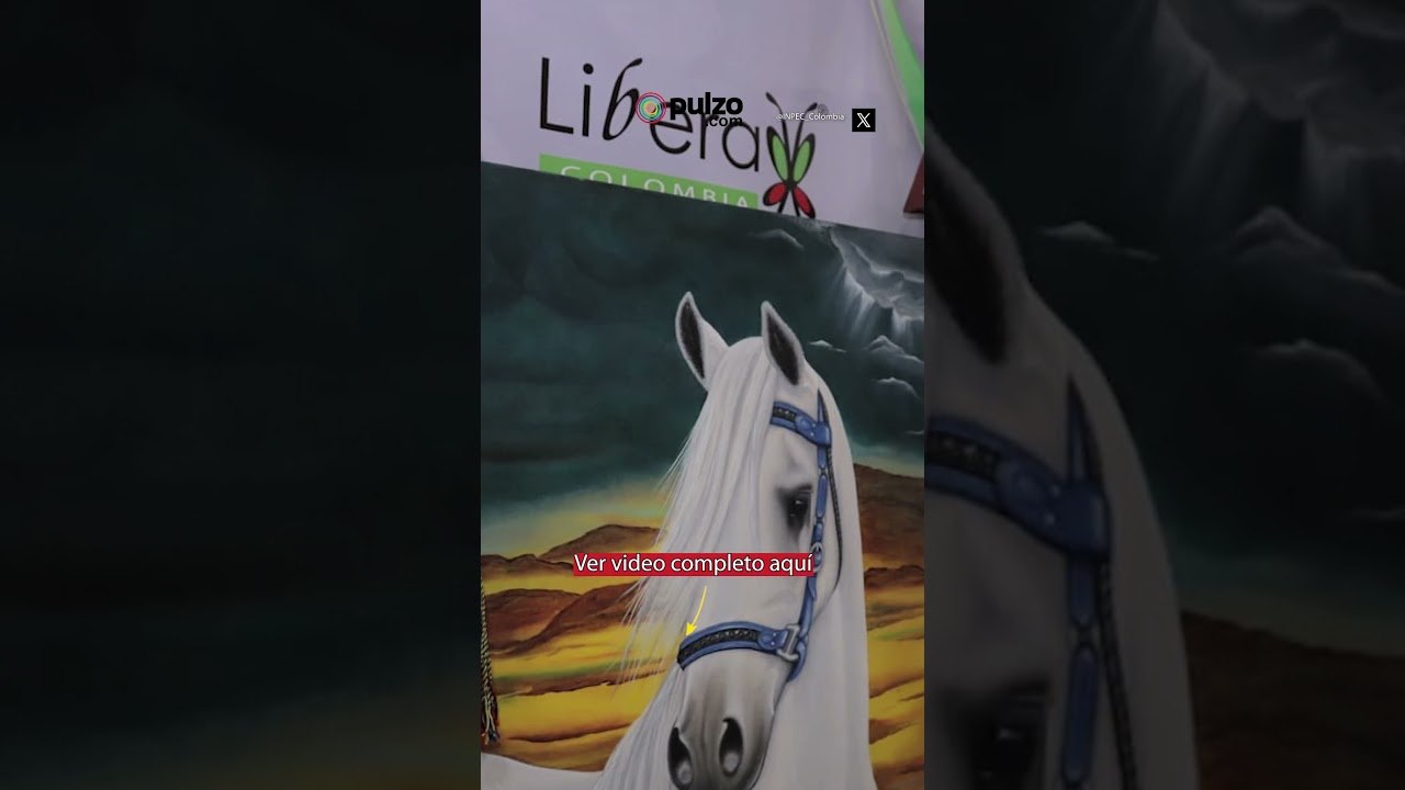 🤑💸¡Ahorre dinero! ¿Sabe cuales son los productos sin IVA? 🤑🤑 | Pulzo| Pulzo