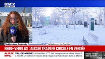 Neige-verglas: toujours aucun train ne circule en Vendée