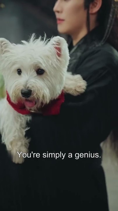 Reborn as a Dog — You Can Hear My Thoughts(Part 1) | English Sub | FULL