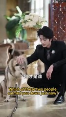 Gadis Yang Bisa Bahasa Hewan | A Girl Who Can Speak Animal Language | Drama Pendek China | CDrama Daily | SUB INDO