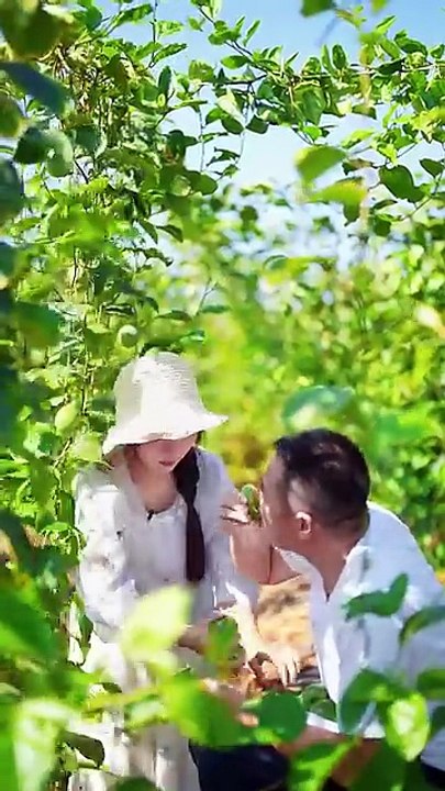 Beautiful Nature with Rural Life - Harvest fresh fruits in the summer