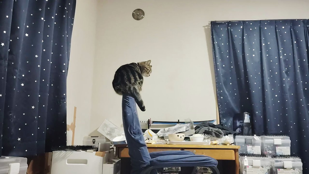 ゲーミングチェアの上に立つミア2