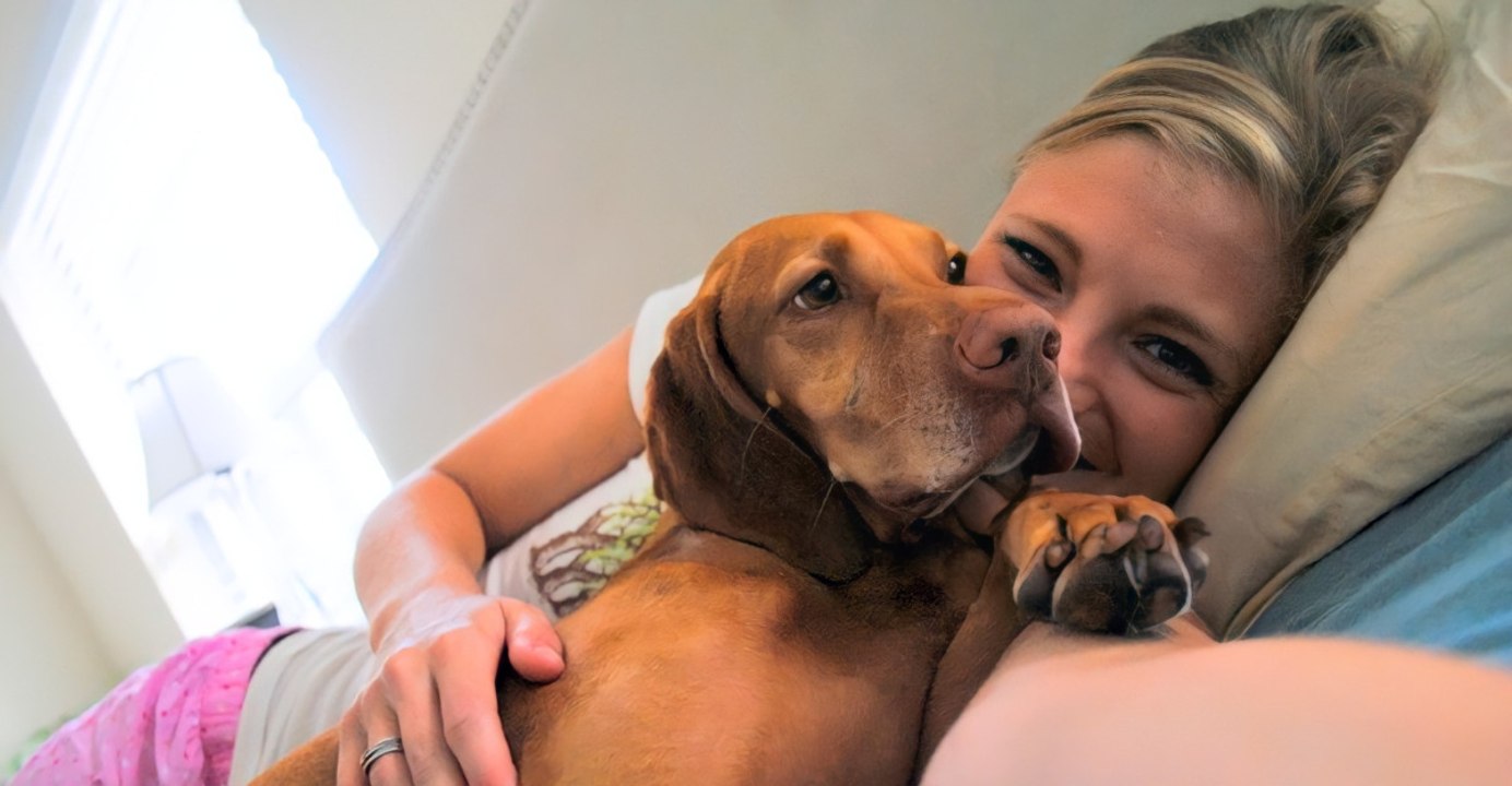 12 Dog Breeds That Don’t Suffer From Aggression Issues
