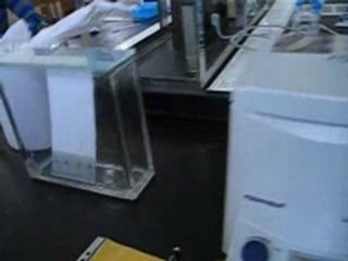 Migration Research at Ambio, ULg 🌍