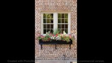 Window flower box ideas