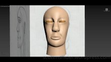 Flame: 3DS MAX Practice Polygon Modeling Head Model Video #130 (01-06-2026)