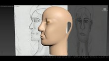 Flame: 3DS MAX Practice Polygon Modeling Head Model Video #132 (01-06-2026)