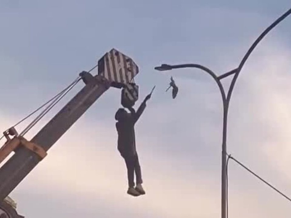 Gefährliche Rettungsaktion: Mann riskiert für kleinen Vogel sein Leben