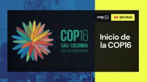 Inauguración en vivo de la COP16 en Cali, Colombia | Pulzo