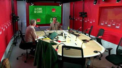 Les supers pouvoirs des mitochondries - La terre au carré