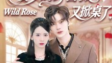 晏少的野蔷薇又掀桌了（120集）张嘉松＆刘姝妤