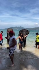 Elephant Splash Prank! Couple Gets Soaked on the Beach! (Hilarious Tourist Fail)