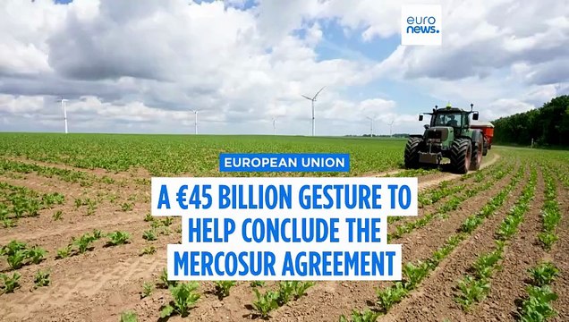 Von der Leyen pledges early funding to farmers in final push to secure Mercosur deal