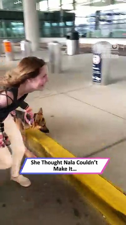 Soldier Thinks Her Dog Isn’t There—Then She See...