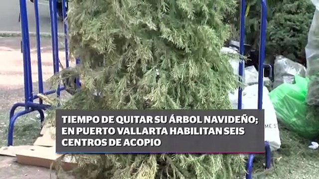 Puerto Vallarta activa centros de acopio para árboles navideños | CPS Noticias