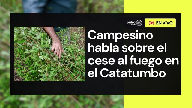Campesinos del Catatumbo celebran extensión de cese al fuego con algunas disidencias de Farc
