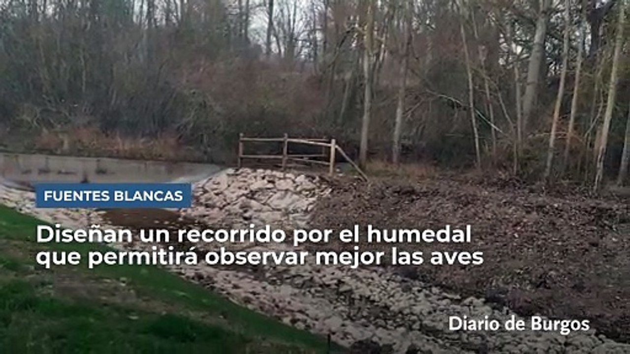 Diseñan un recorrido por el humedal de Fuentes Blancas para observar mejor las aves en Burgos