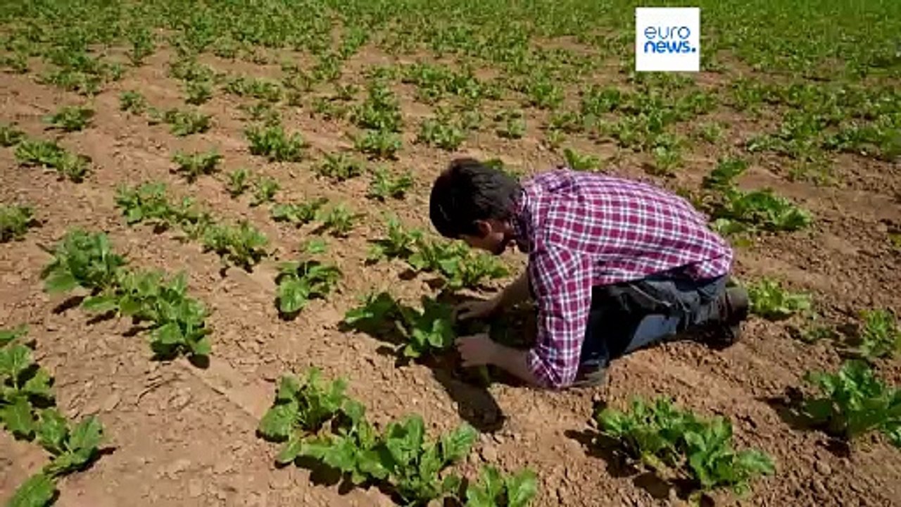 Στοίχημα 45 δισ. ευρώ για τη συμφωνία Mercosur
