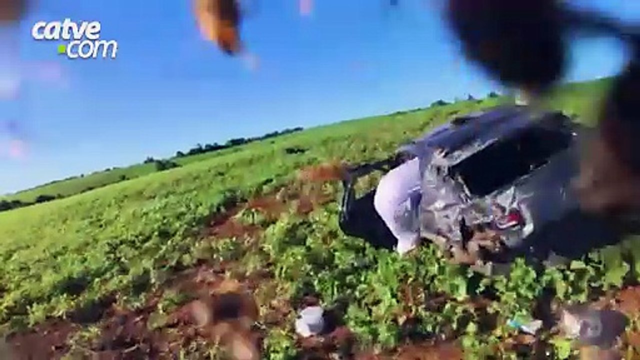 Enxame de abelhas provoca capotamento e deixa mulher internada no RS