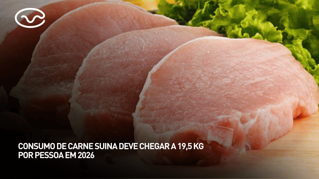 Consumo de carne suina deve chegar a 19,5 kg por pessoa em 2026