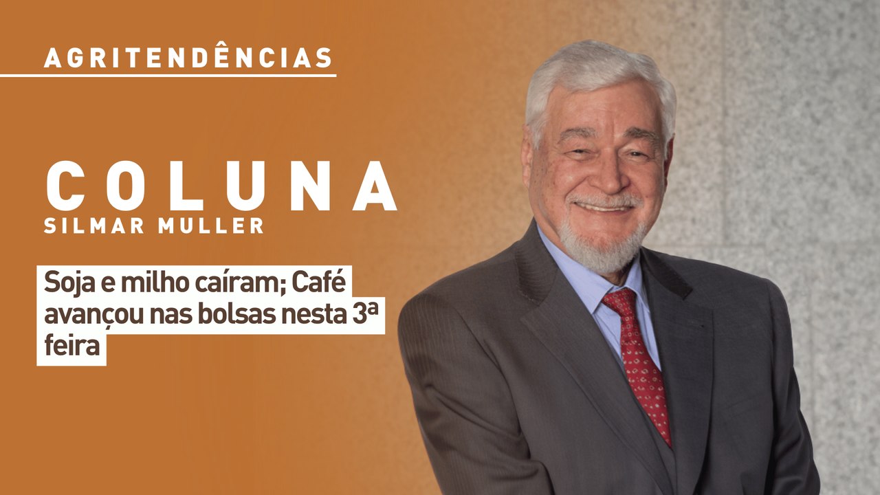 Soja e milho caíram; Café avançou nas bolsas nesta 3ª feira