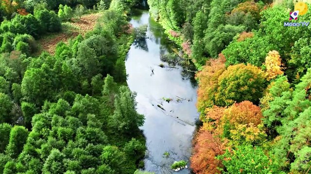 Healing Binaural Beats Music For Brainwave Entrainment And Meditation