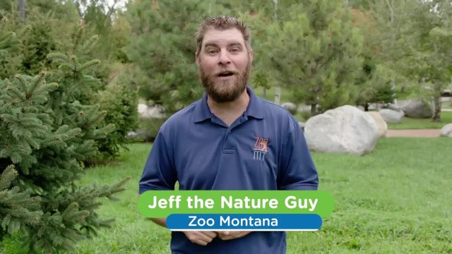 These Two Bears Share an Unbreakable Bond — and It Shows