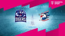 Highlights von Straubing Tigers - Adler Mannheim