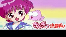 きんぎょ注意報！  番組解説と最終回  Program Guide and Final Episode for Goldfish Warning!