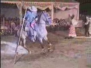 Doma Vaquera et Flamenco..