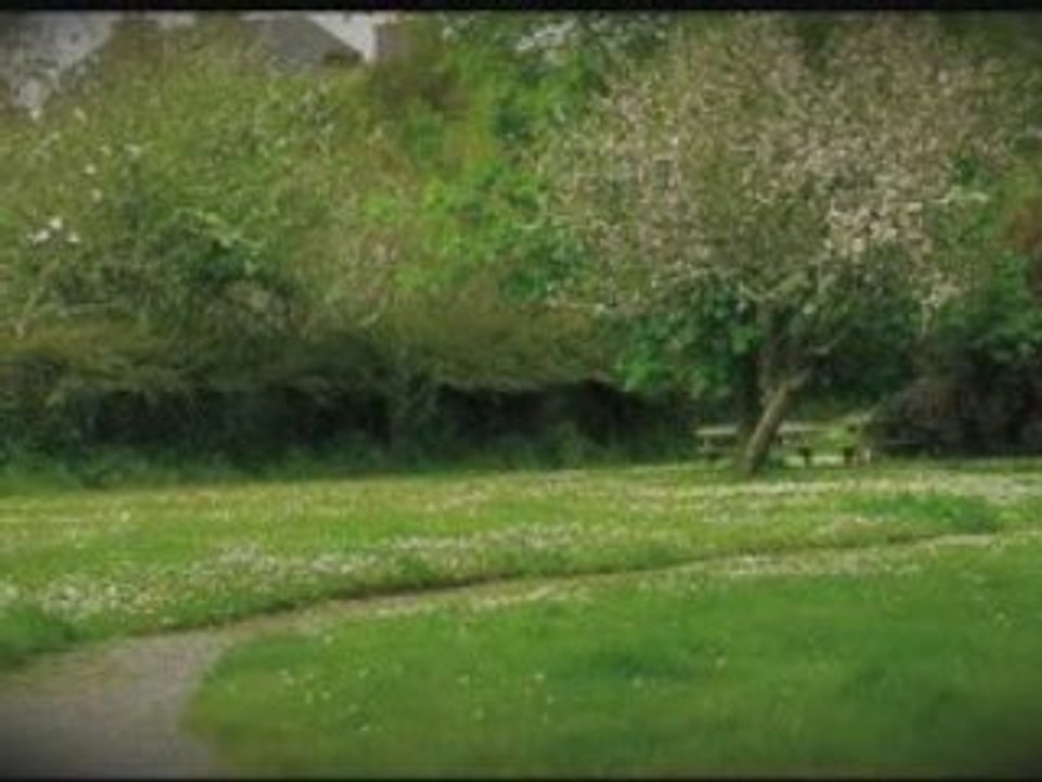 Daoulas plougastel-H.264