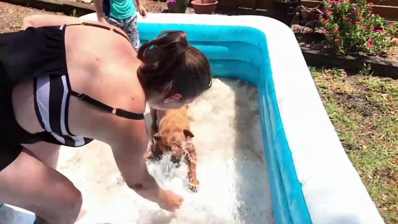 #ZenZumaMoments 20240527 Backyard Pool Play