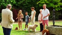 Dogs Behaving Very Badly S08E01 MY5 H 264