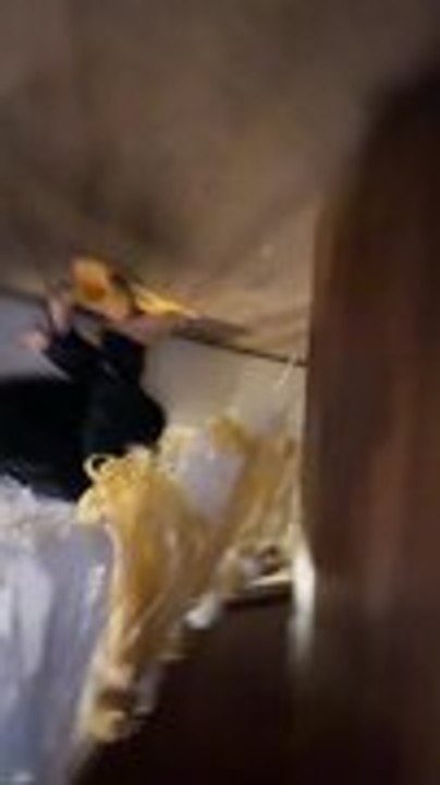 Man Falls Over Table During Piata Hit