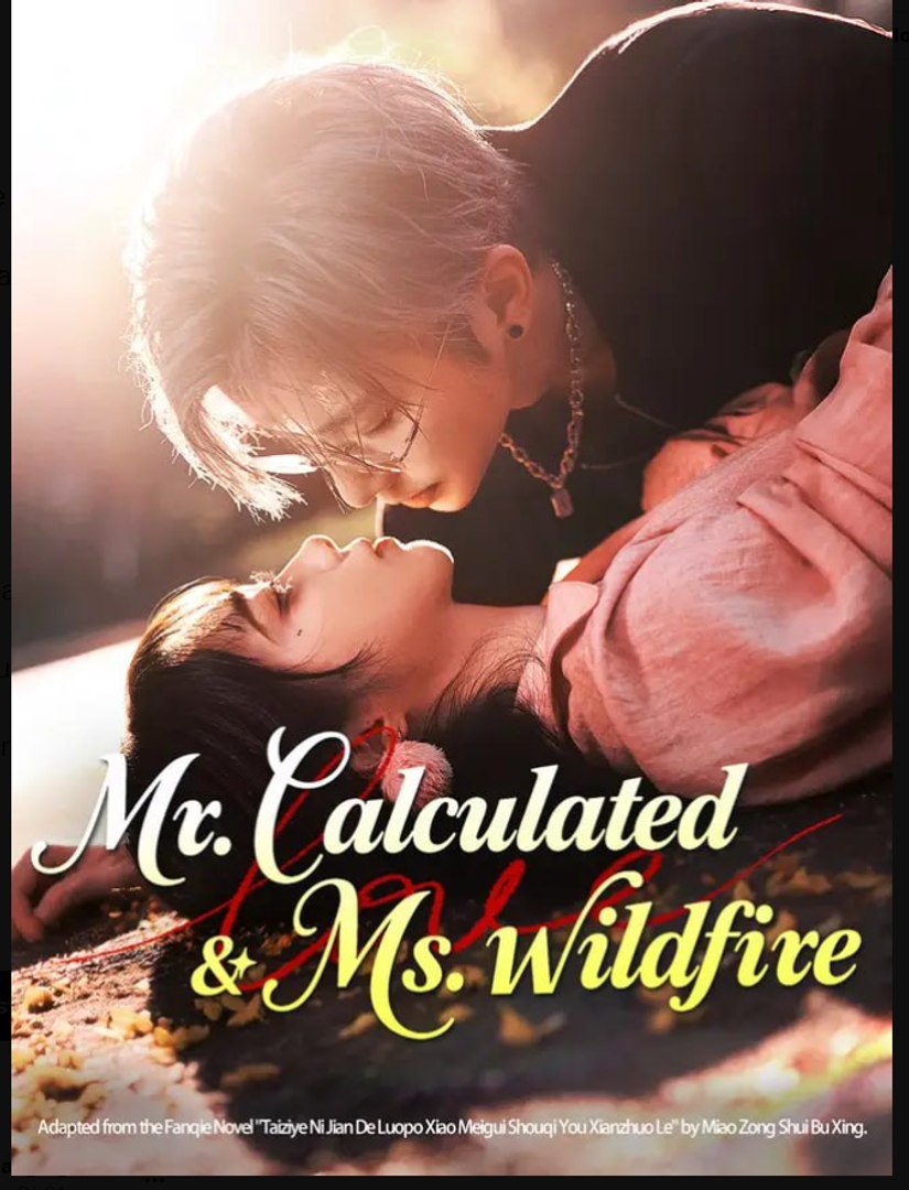 Mr Calculated & Ms Wildfire Drama Movies English Sub