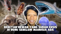 Hewan Purba Mendiami Planet Bumi Jauh Sebelum Peradaban Manusia Muncul