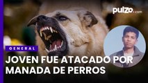 Joven fue atacado por manada de perros en Bogotá y está en la UCI: perdió los dos brazos | Pulzo