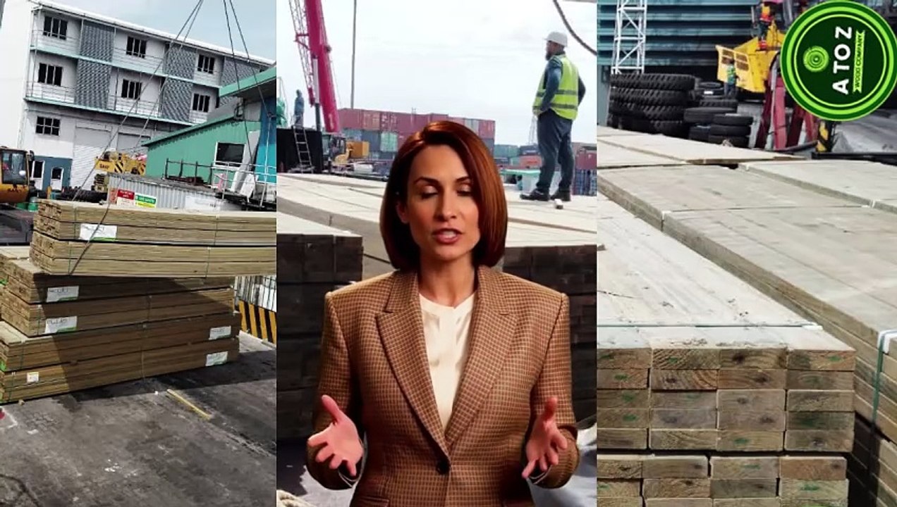 Low-Risk First Shipment Program | Timber Buying Made Safe