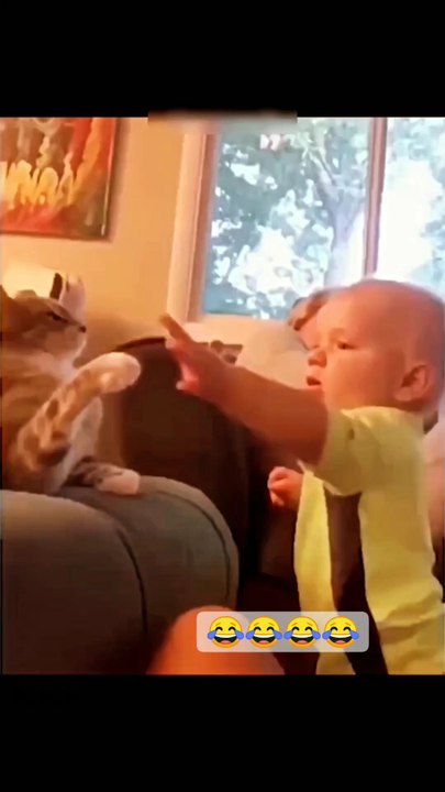 funny videos 😂