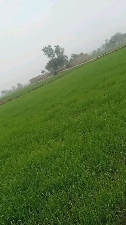 village