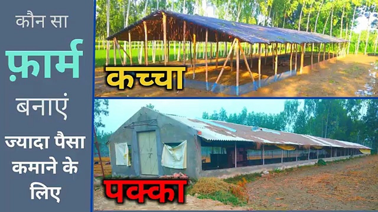 कौन सा फ़ार्म बनाऐ कच्चा या पक्का | desi murgi palan | poultry farm business plan